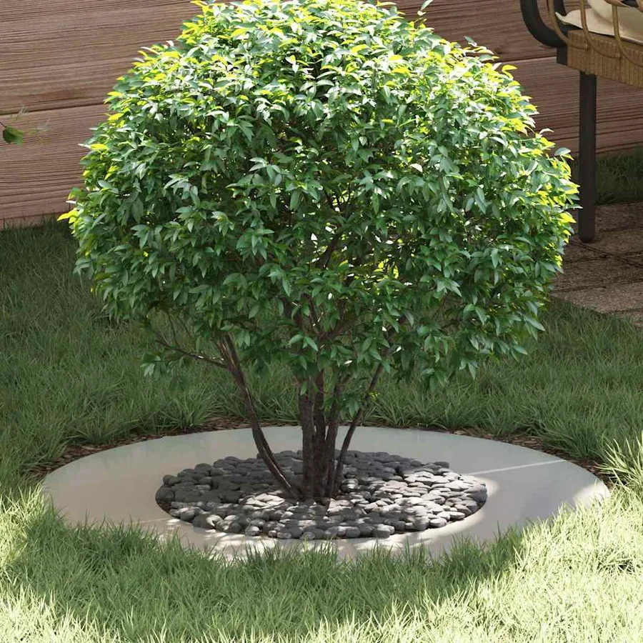adapté pour anneaux d'arbre plats 5 pc Argent Ø40/70 cm