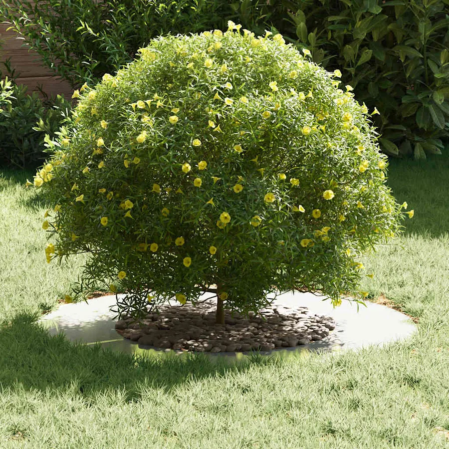 adapté pour anneaux d'arbre plats 5 pc Argent Ø40/70 cm - 3