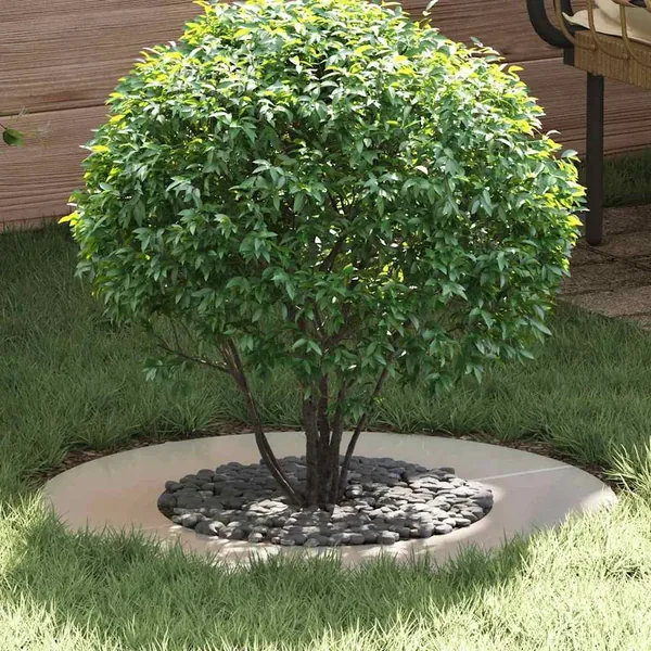 adapté pour anneaux d'arbre plats 5 pc Argent Ø40/70 cm