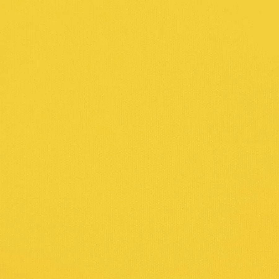 Remorque de vélo pour animaux de compagnie jaune et noir - 12