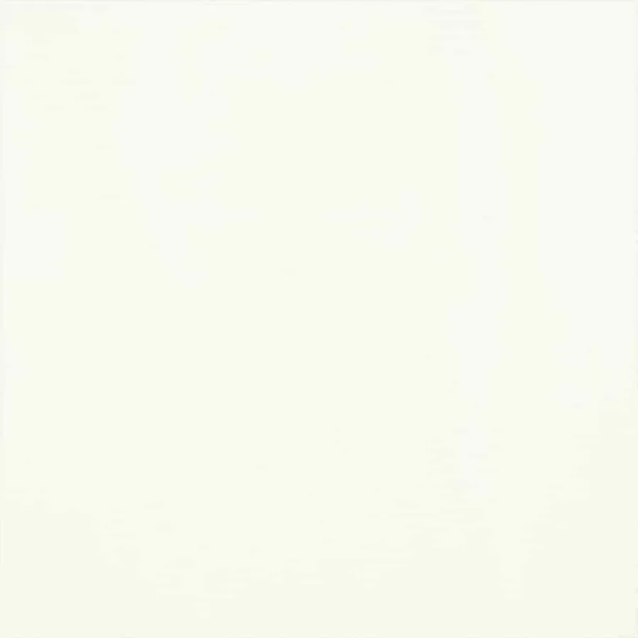 Écran de confidentialité pour balcon 160 x 160 cm Polyester - 7
