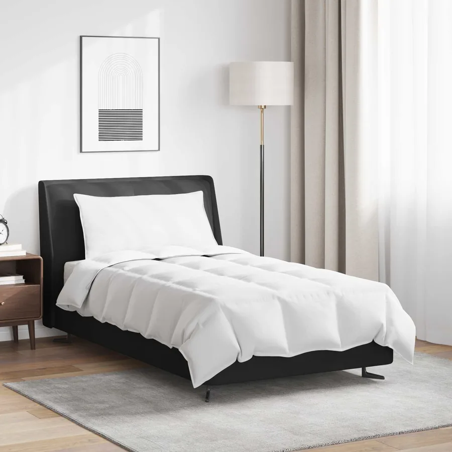 Duvet d'été simple avec oreiller 2 pcs Blanc Plume de canard