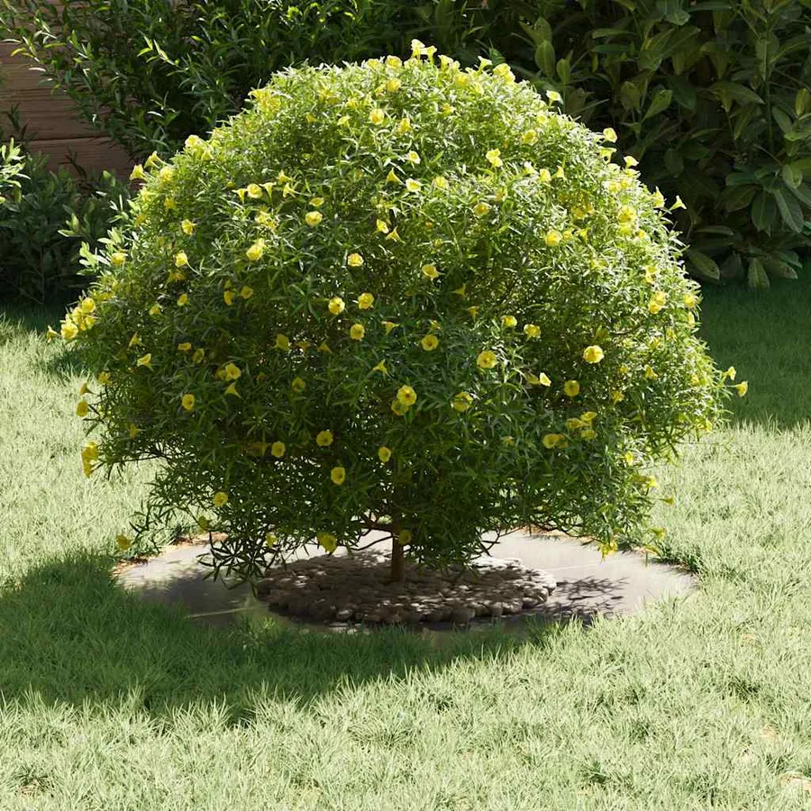 adapté pour anneau d'arbre plat Argent Ø30/60 cm - 3