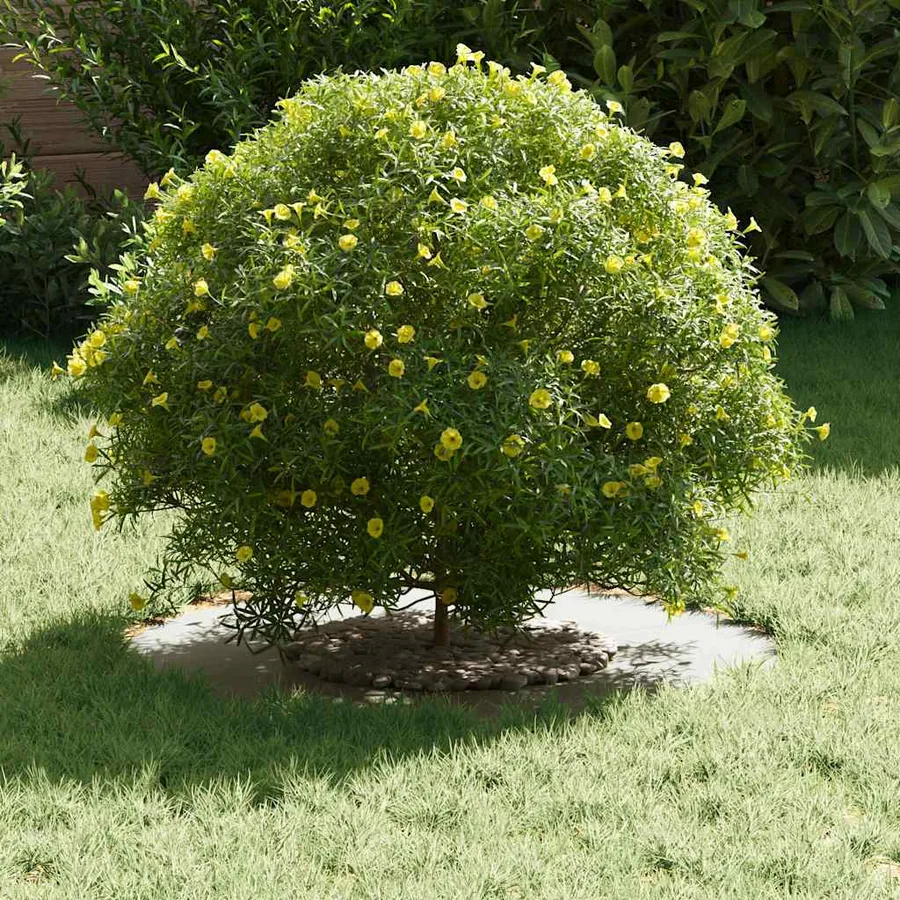 adapté pour anneau d'arbre plat Blanc Ø30/60 cm Acier - 3
