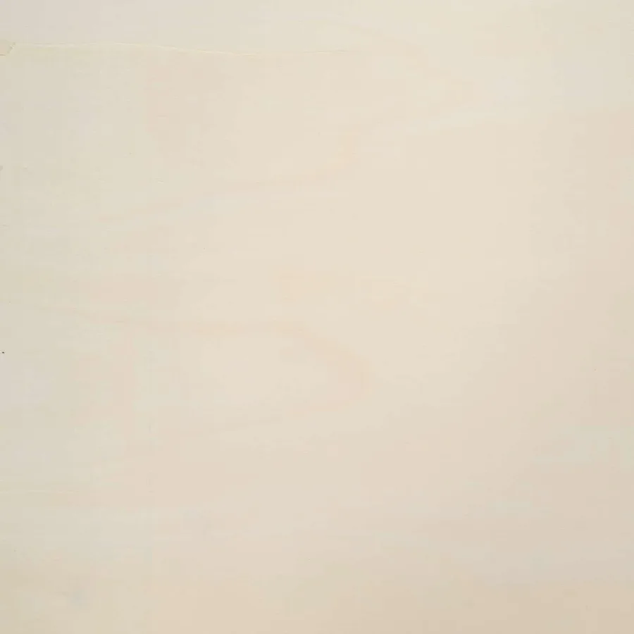 Vitrine Murale Beige 21 x 4,5 x 59 cm Bois d'ingénierie - 6