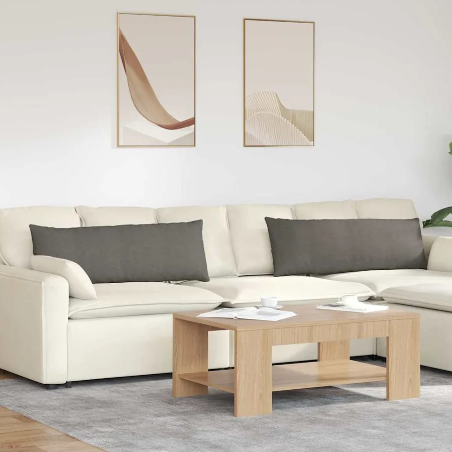 Coussins de canapé 2 pcs Gris clair 120 x 40 cm