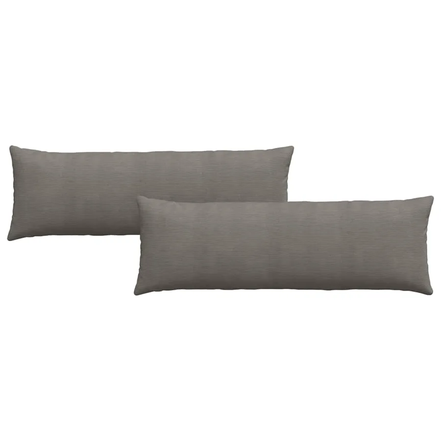 Coussins de canapé 2 pcs Gris clair 120 x 40 cm - 2