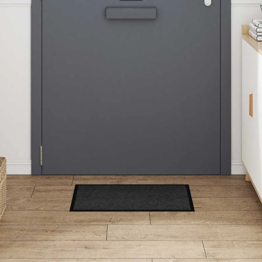 Tapis de porte Anthracite 60 x 40 x 1.2 cm Tissu en teddy - 3