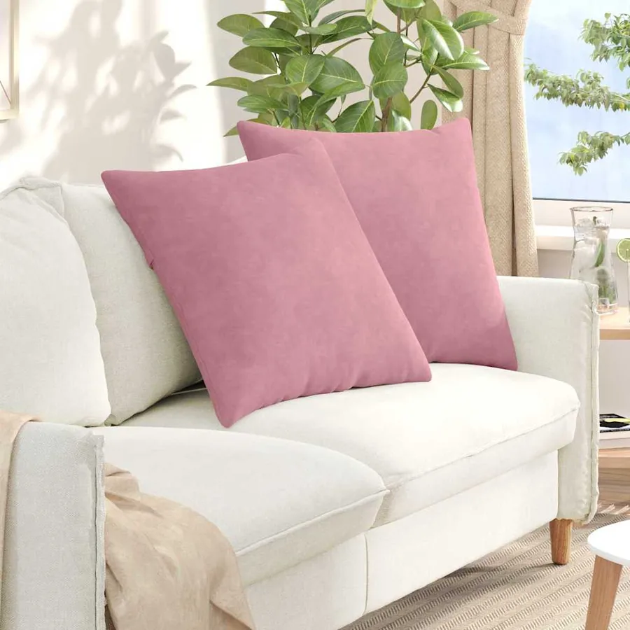 Coussins de canapé 2 pcs Rose 60 x 60 cm