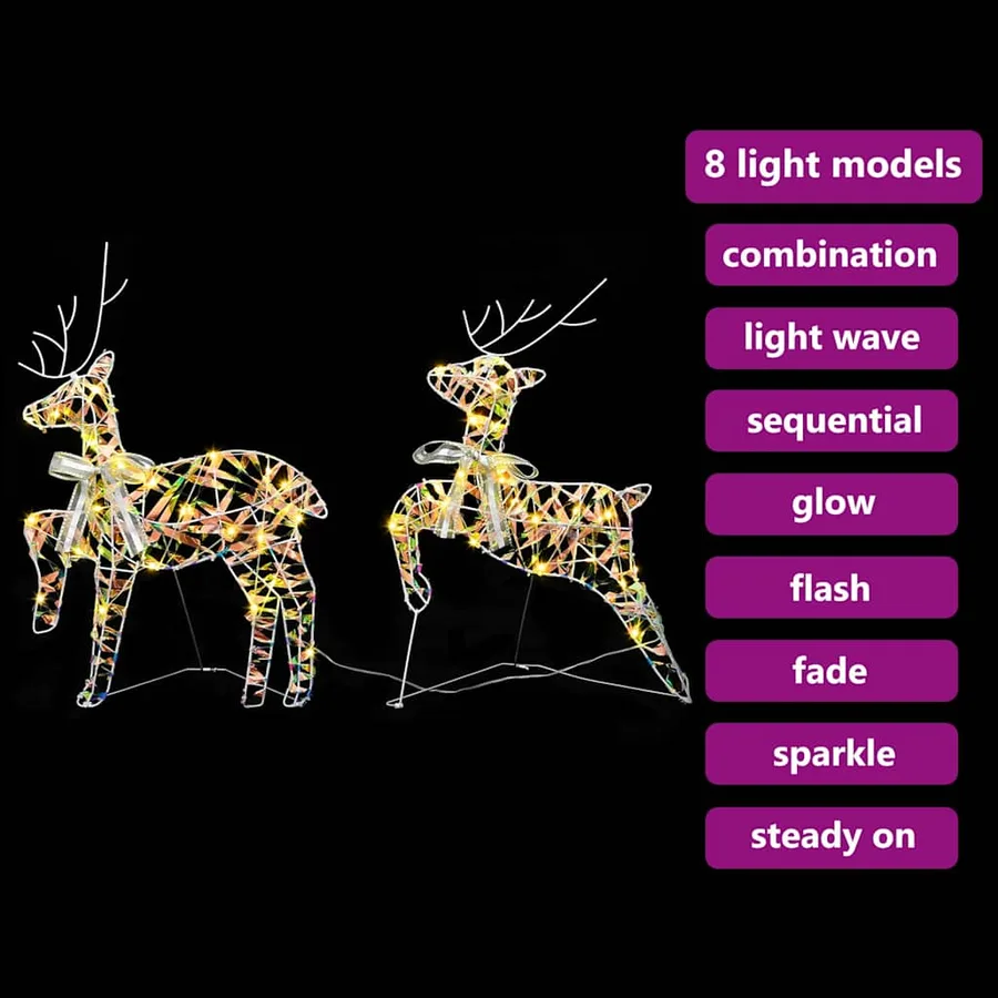 Rennes LED avec 40 LED 2 pcs Blanc chaud PET - 9