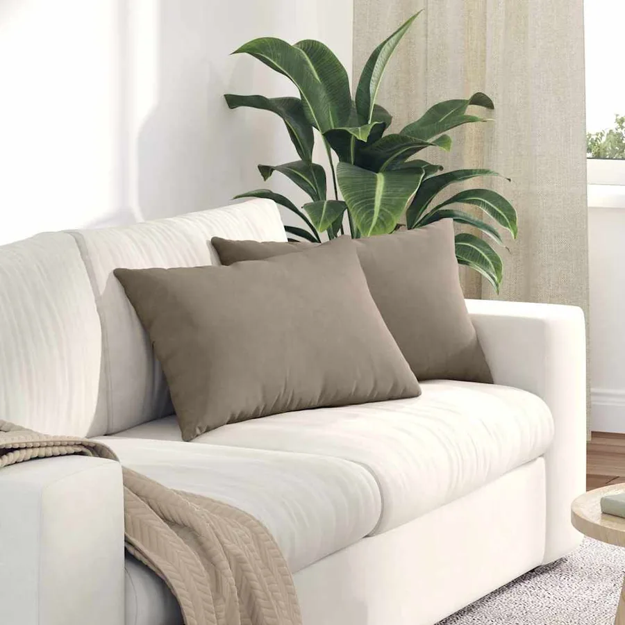 Coussins de canapé 2 pcs Taupe 60 x 40 cm tissu