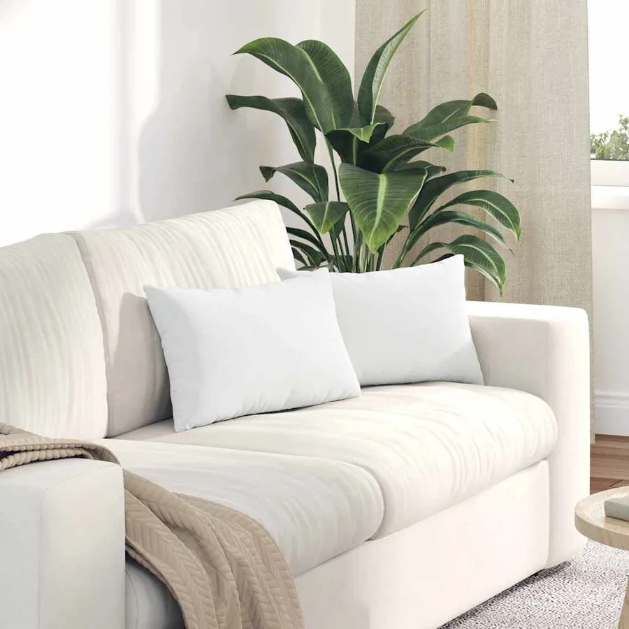 Coussins de canapé 2 pcs Blanc 50 x 30 cm tissu