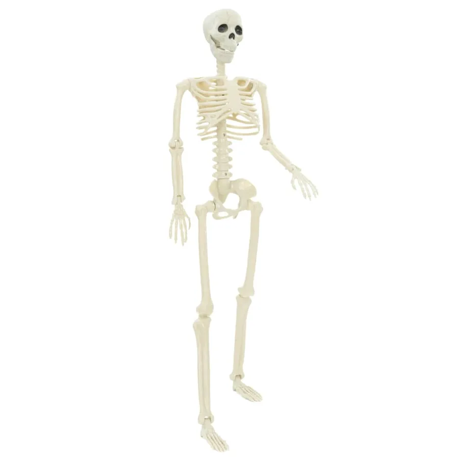 Squelette d'Halloween 2 pcs Blanc 85 cm PVC - 4