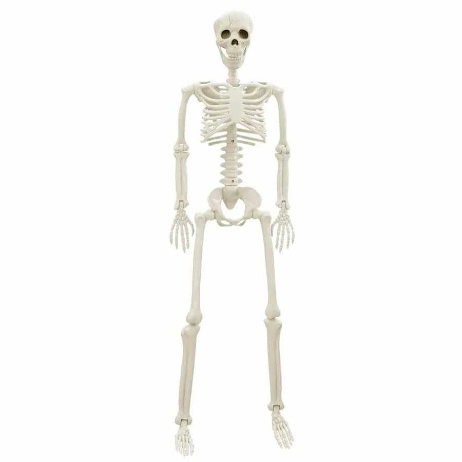 Squelette d'Halloween 2 pcs Blanc 85 cm PVC - 5