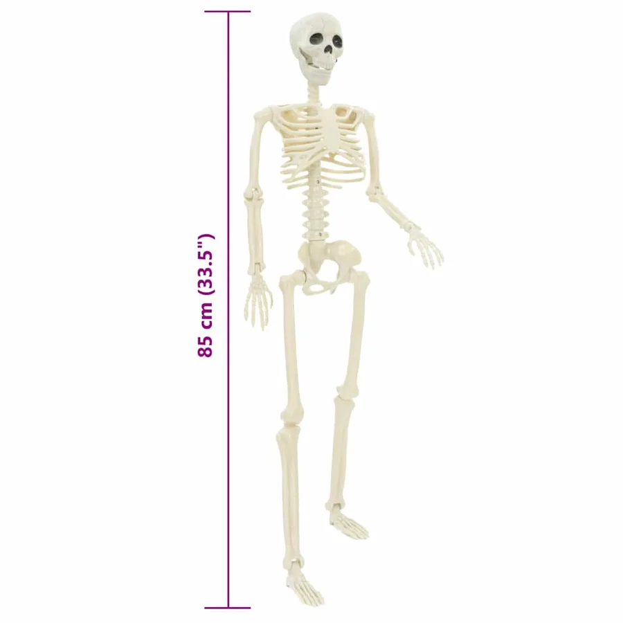 Squelette d'Halloween 2 pcs Blanc 85 cm PVC - 8