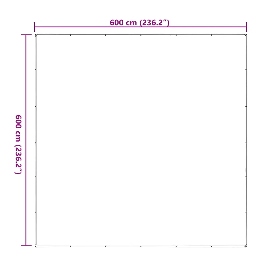 Couverture pour plantes Transparent 6 x 6 m PE - 10