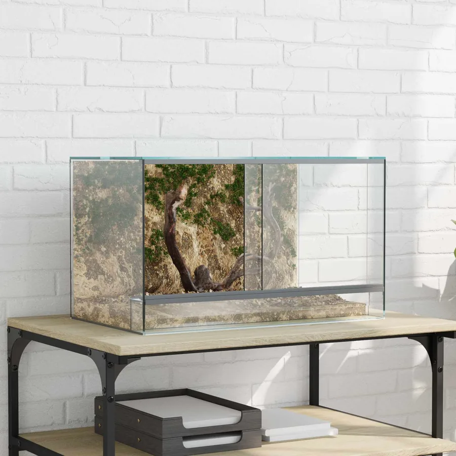 Terrarium avec stockage Transparent 50 x 30 x 30 cm Verre
