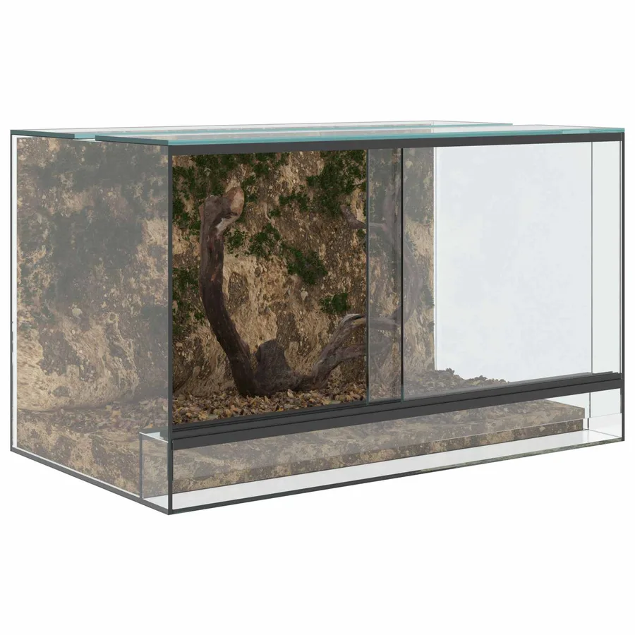 Terrarium avec stockage Transparent 50 x 30 x 30 cm Verre - 3
