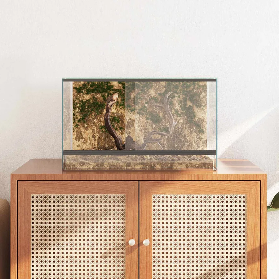 Terrarium avec stockage Transparent 50 x 30 x 30 cm Verre - 4