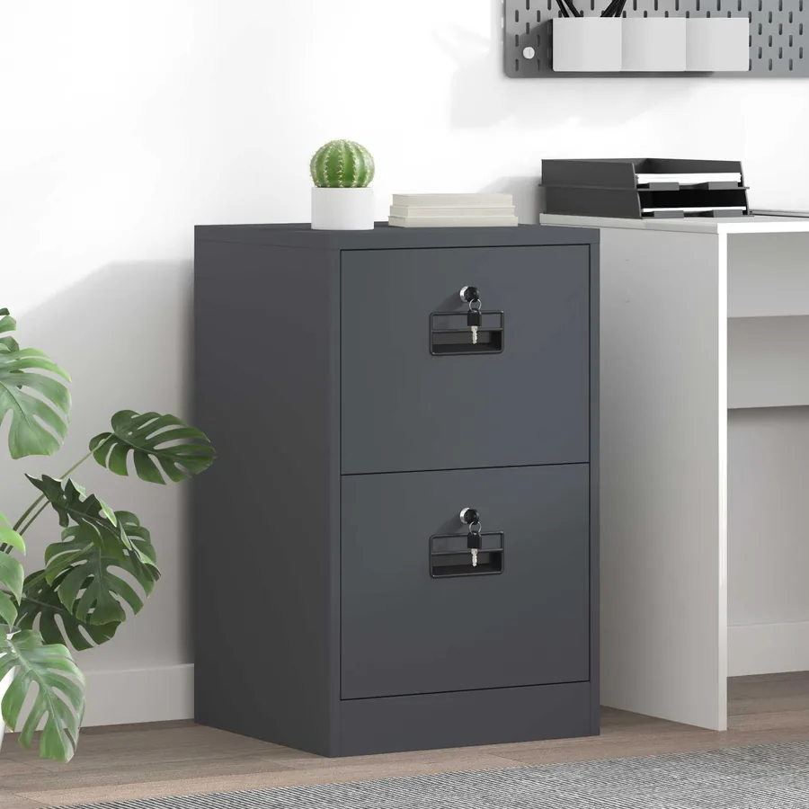 Cabinet de Dossier avec tiroir Anthracite 45,5 x 42 x 74,5 cm