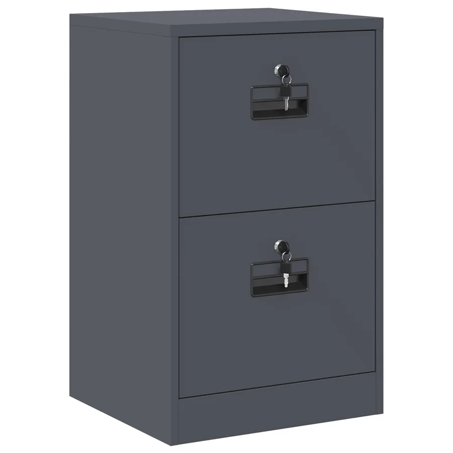 Cabinet de Dossier avec tiroir Anthracite 45,5 x 42 x 74,5 cm - 2