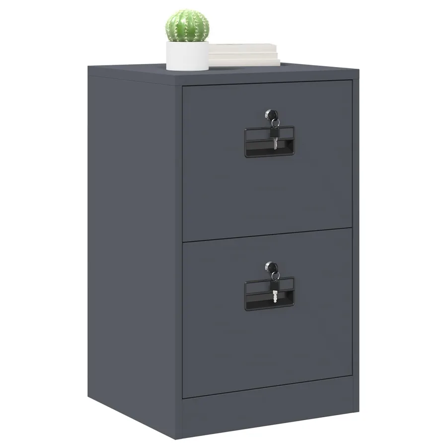 Cabinet de Dossier avec tiroir Anthracite 45,5 x 42 x 74,5 cm - 3