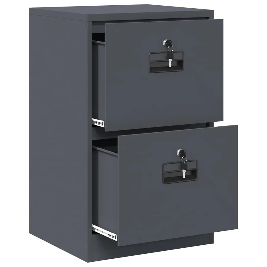 Cabinet de Dossier avec tiroir Anthracite 45,5 x 42 x 74,5 cm - 6