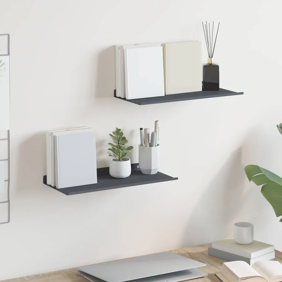 Étagère flottante 2 pcs Anthracite 40 x 18 x 2,5 cm Acier