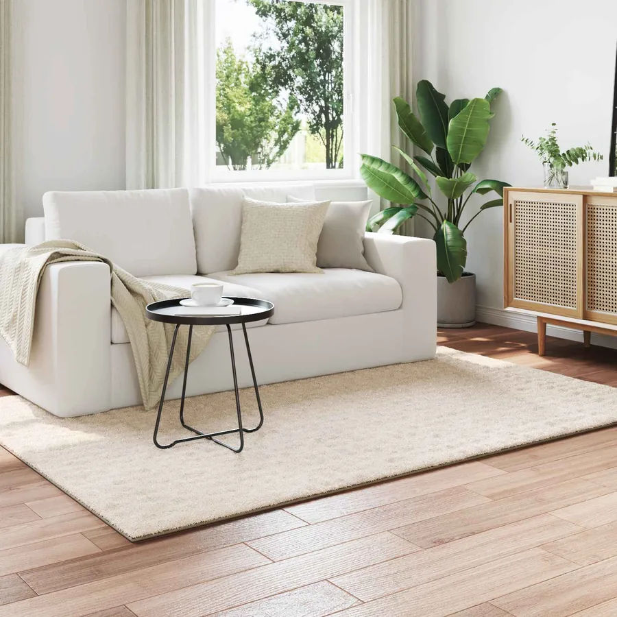 Tapis de surface SIROLO Beige 170 x 120 cm Polyester