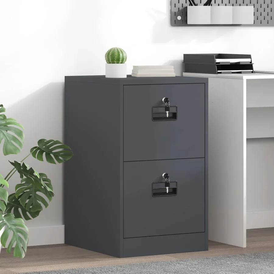 Cabinet de Dossier avec tiroir Anthracite 44 x 50 x 74,5 cm