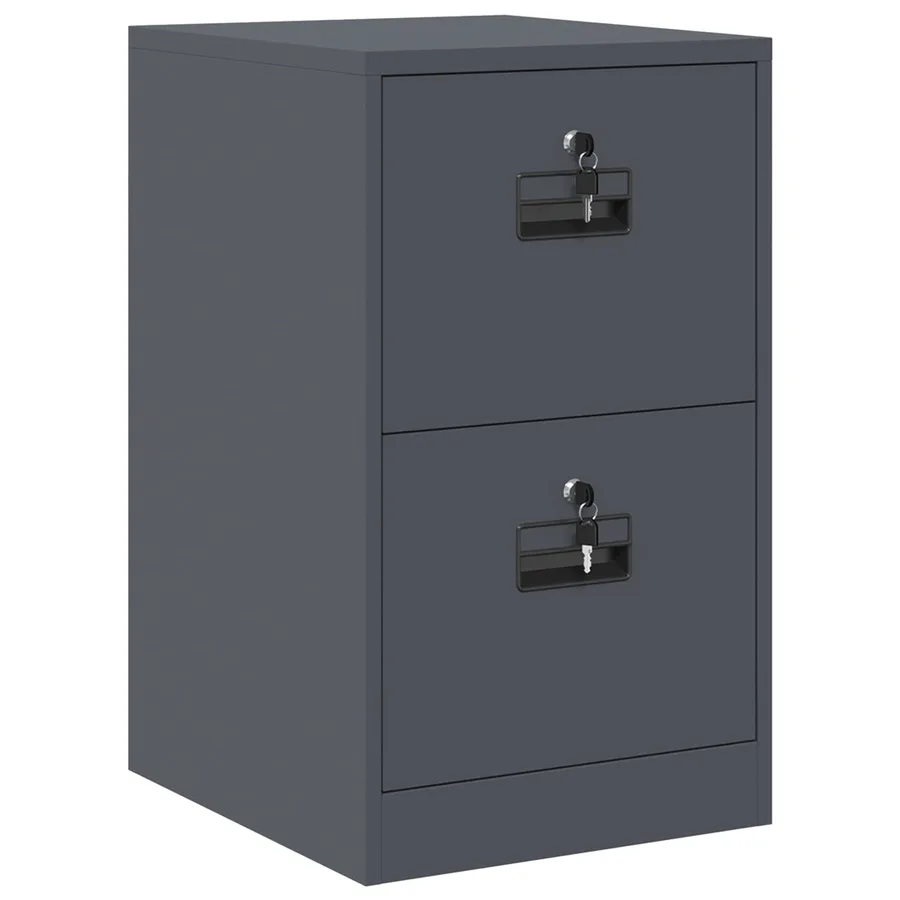 Cabinet de Dossier avec tiroir Anthracite 44 x 50 x 74,5 cm - 2