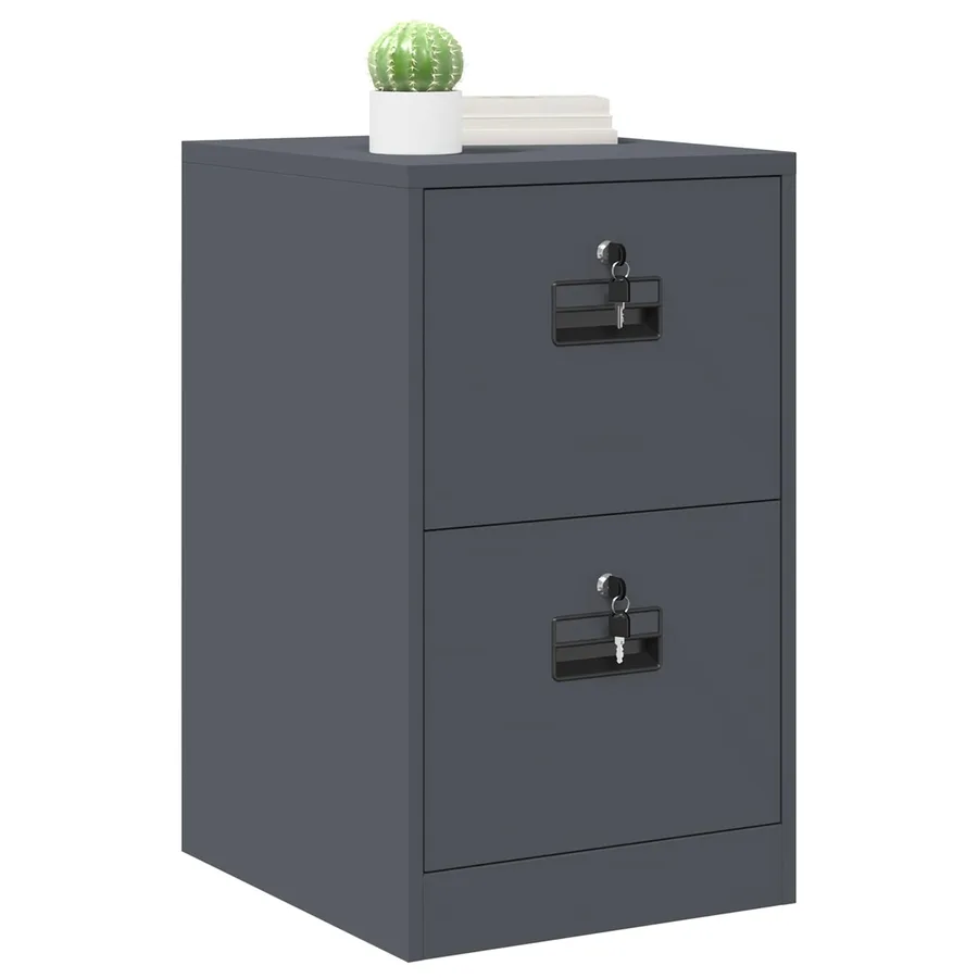Cabinet de Dossier avec tiroir Anthracite 44 x 50 x 74,5 cm - 3