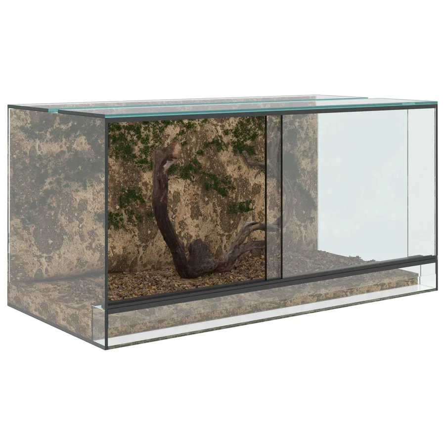 Terrarium avec stockage Transparent 80 x 40 x 40 cm Verre - 3