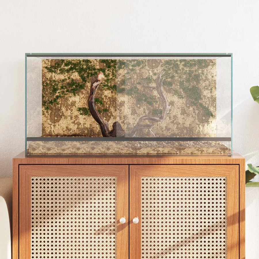 Terrarium avec stockage Transparent 80 x 40 x 40 cm Verre - 4
