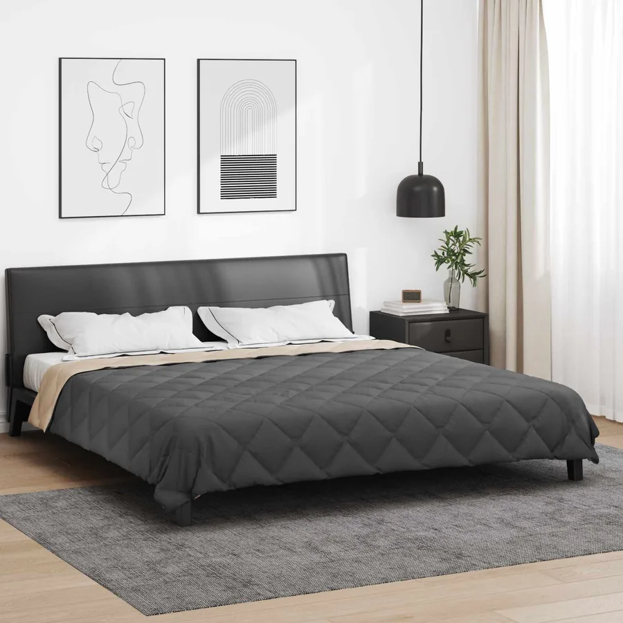 Duvet d'été simple Anthracite et Taupe 240 x 200 cm Microfibre