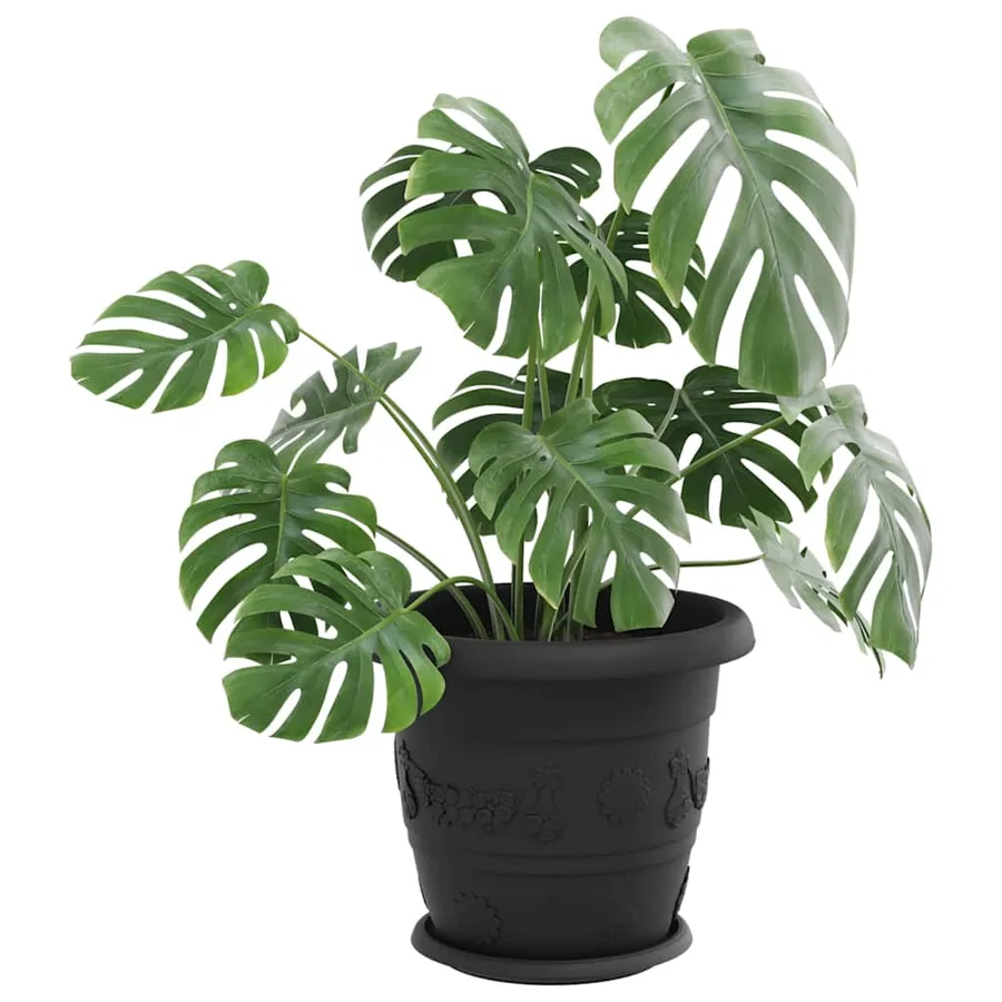Plateau à fleurs rond 24 pcs Noir Ø 23,5 x 2,5 cm Plastique - 3