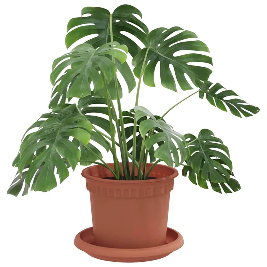 Pots de plantes 24 pcs Rouge brique Ø 12,5 x 10 cm Plastique - 3