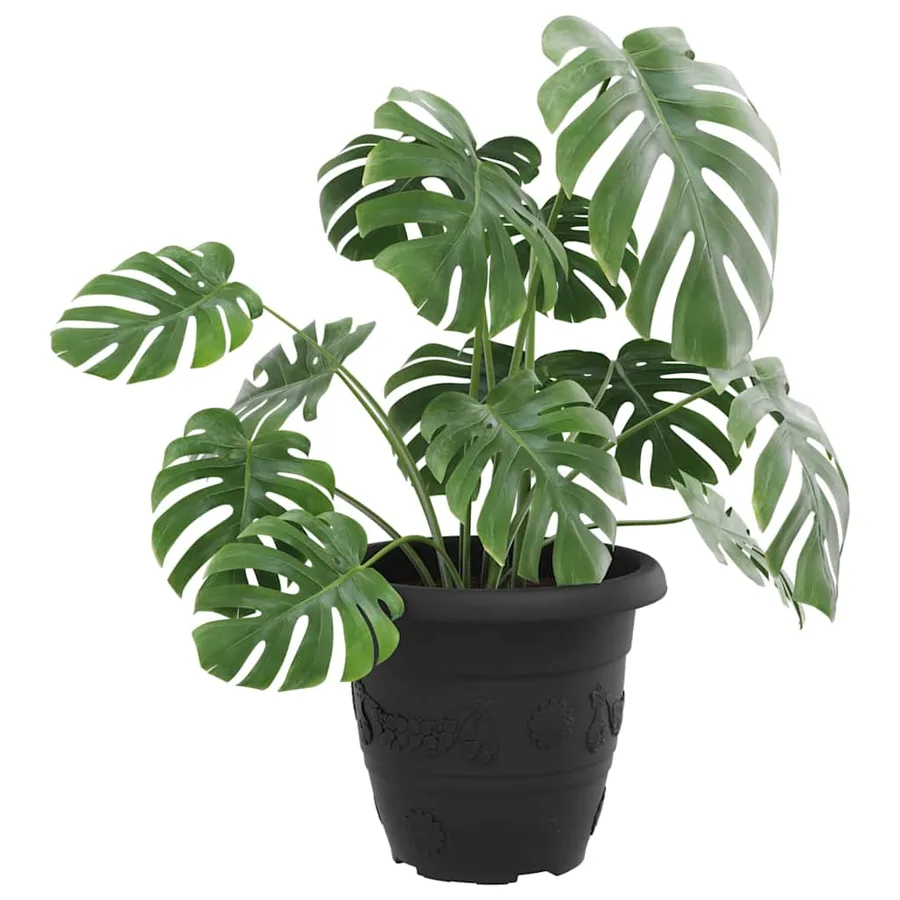 Pot à fleurs rond 24 pcs Noir Ø 26 x 21,5 cm Plastique - 3