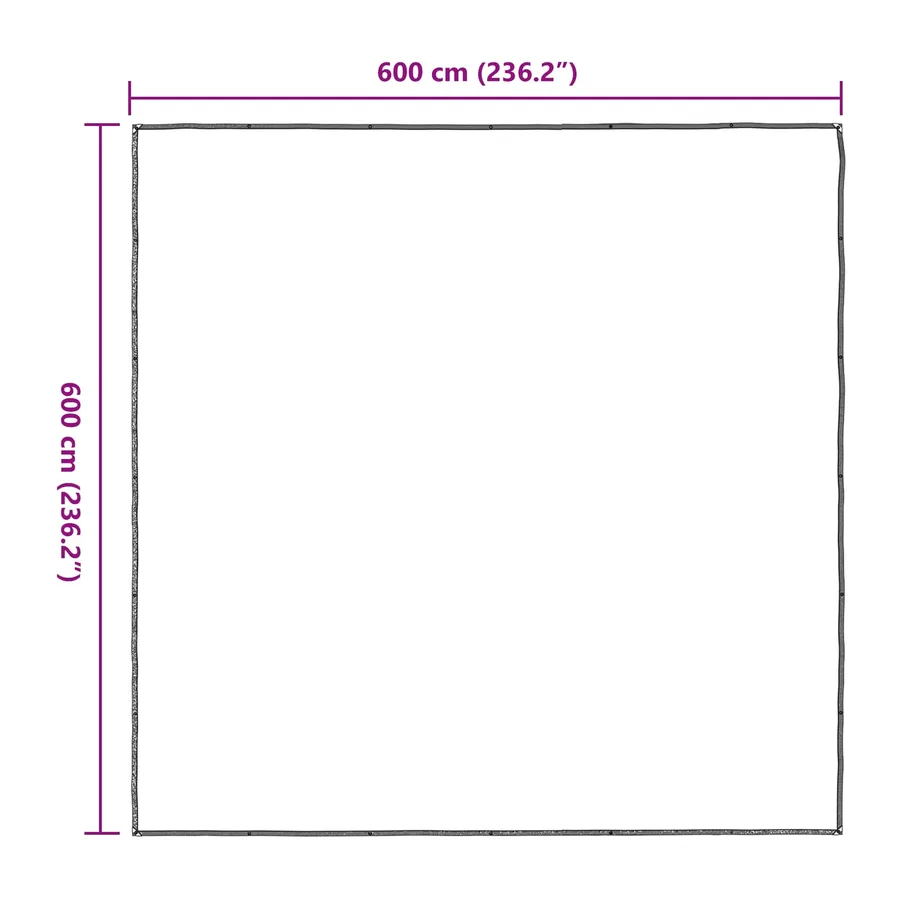 Couverture pour plantes Transparent 6 x 6 m PE - 10