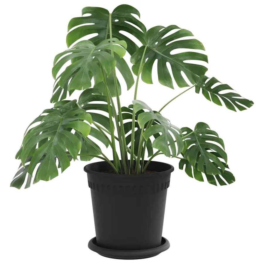 Pots de plantes 6 pcs Noir Ø 17 x 14 cm Plastique - 3