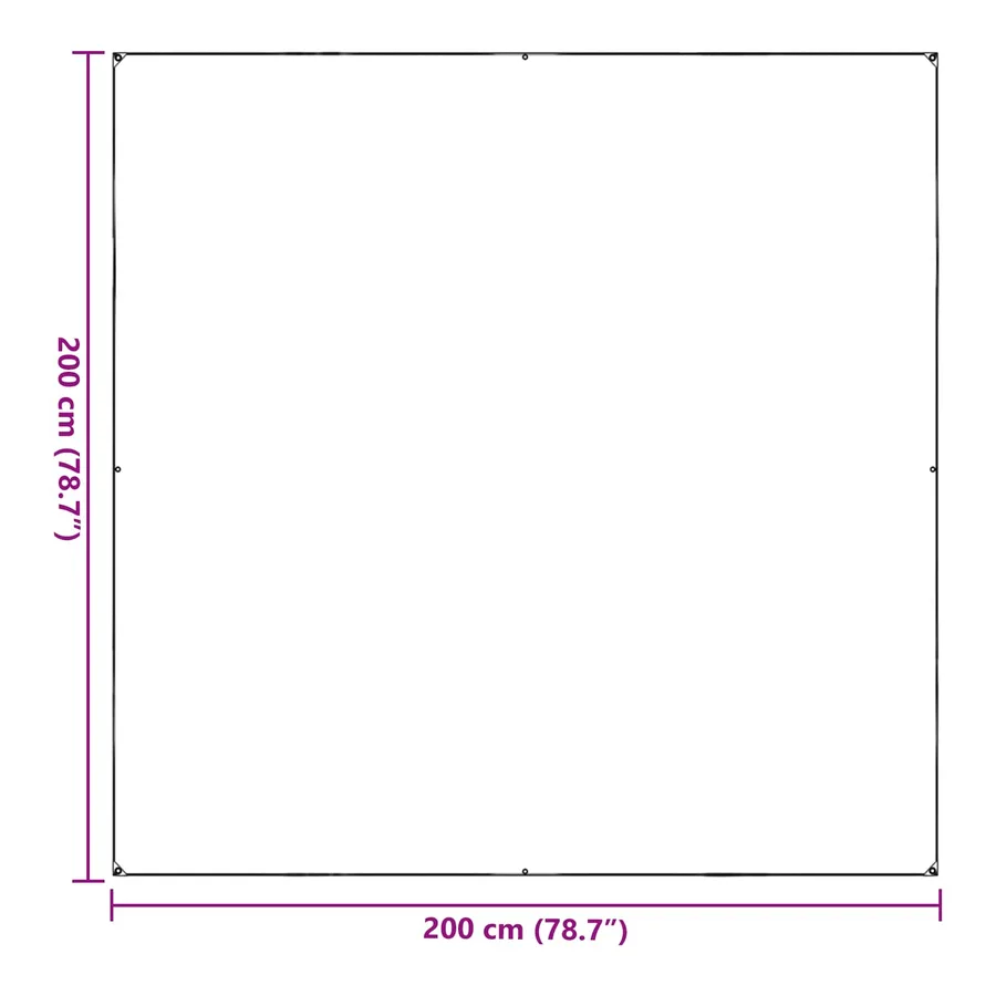 Couverture pour plantes Transparent 2 x 2 m PVC - 12