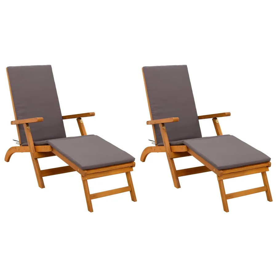 Chaise longue inclinable et pliable 2 pcs Gris 55 x 146 x 91 cm - 2