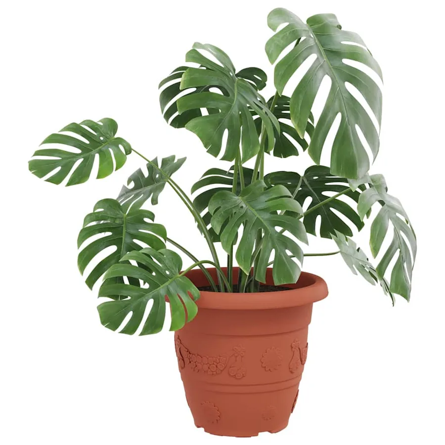 Pot à fleurs rond 6 pcs Rouge brique Ø 39 x 32 cm Plastique - 3