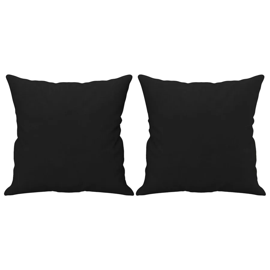 Coussins décoratifs lot de 2 Noir 40x40 cm Tissu microfibre - 2