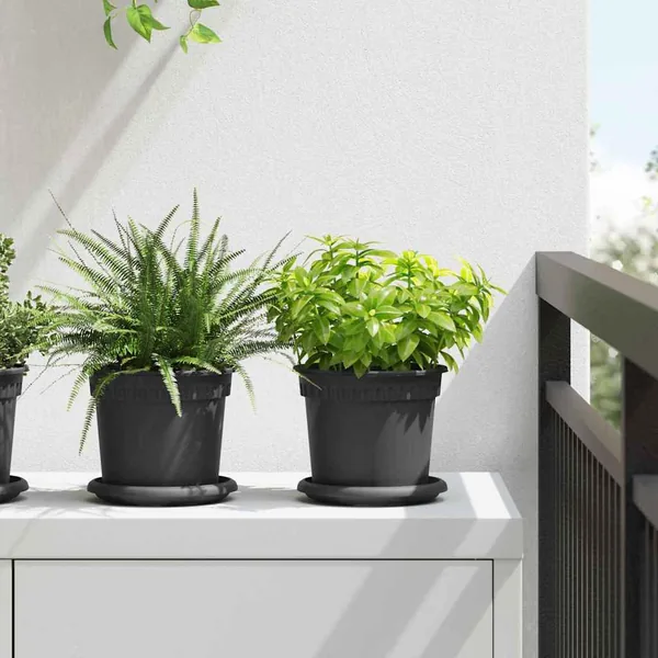 Plateau à fleurs rond 6 pcs Noir Ø 14 x 2 cm Plastique