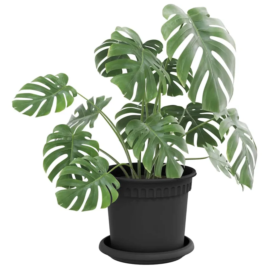 Plateau à fleurs rond 6 pcs Noir Ø 14 x 2 cm Plastique - 3