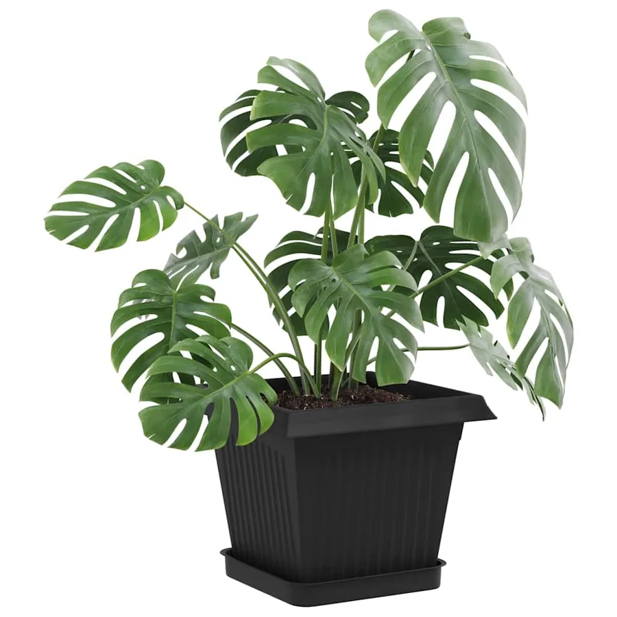 Plateau carré à fleurs 24 pcs Noir 15 x 15 x 2 cm Plastique - 3