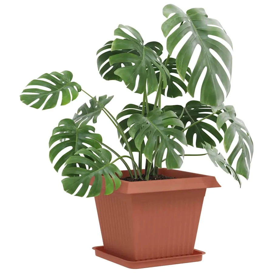 Pots de plantes 24 pcs Rouge brique 43 x 43 x 33,5 cm Plastique - 3