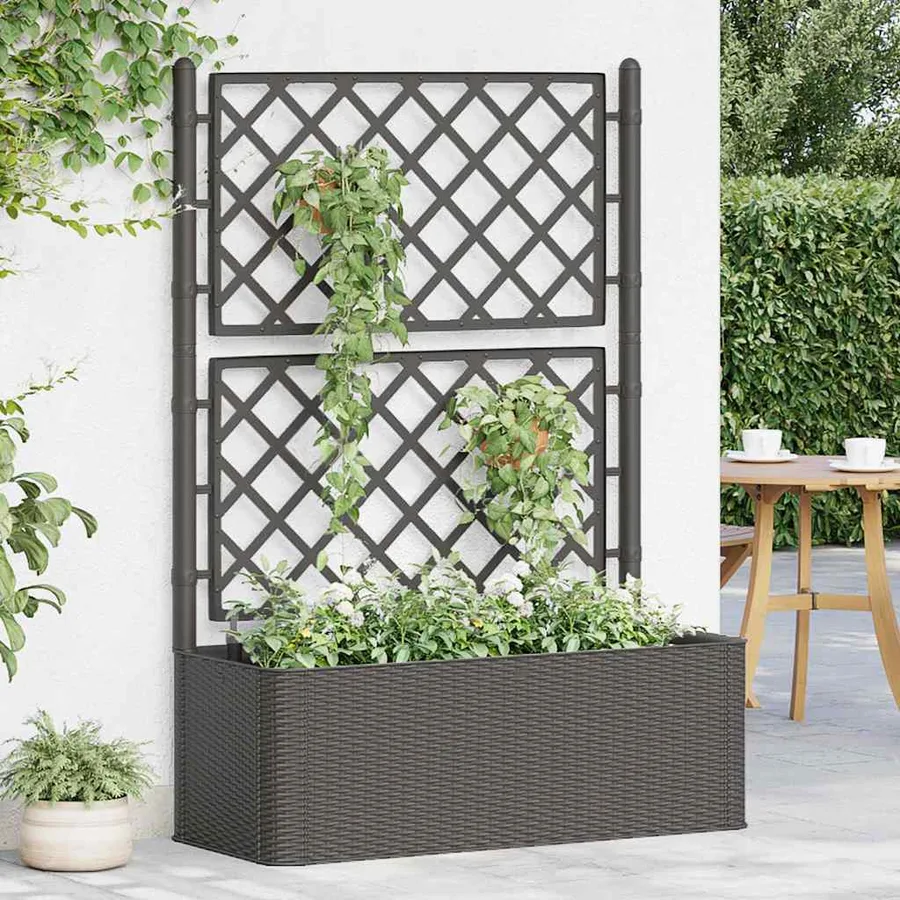 Lit surélevé de jardin treillis système d'arrosage Anthracite - 3