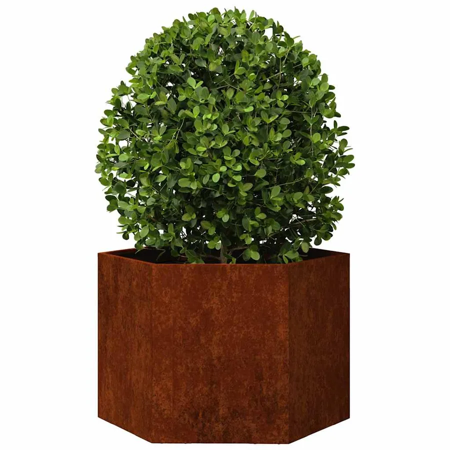 Jardinière Rouillé 60x60x45 cm Acier corten - 3